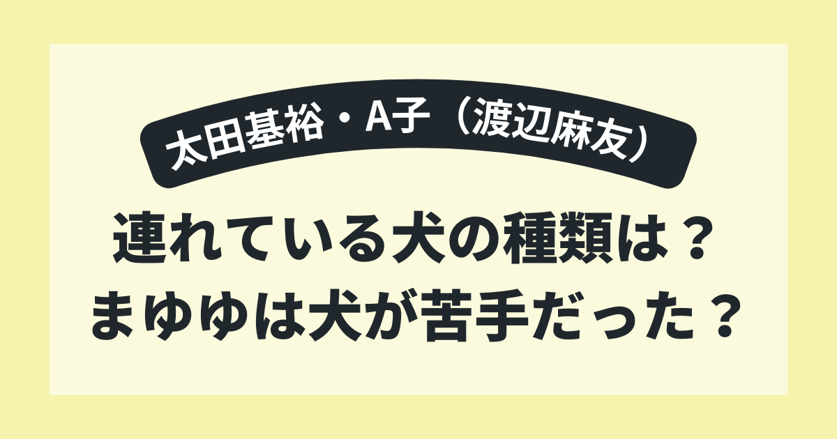 アイキャッチ